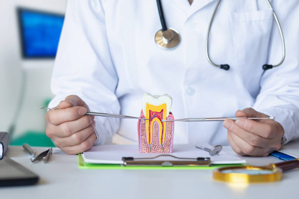 Best Emergency Denture Repair in Blacksburg, VA